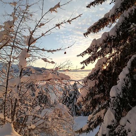 Apartmán Studio Au Clos Des Gentianes Collet D'Allevard Exteriér fotografie